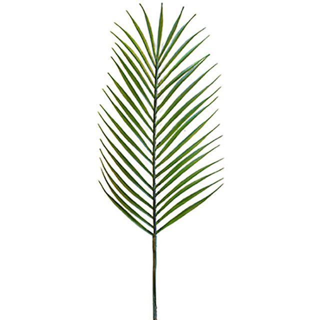 FOLIAGE, Palm Leaf - 74cm